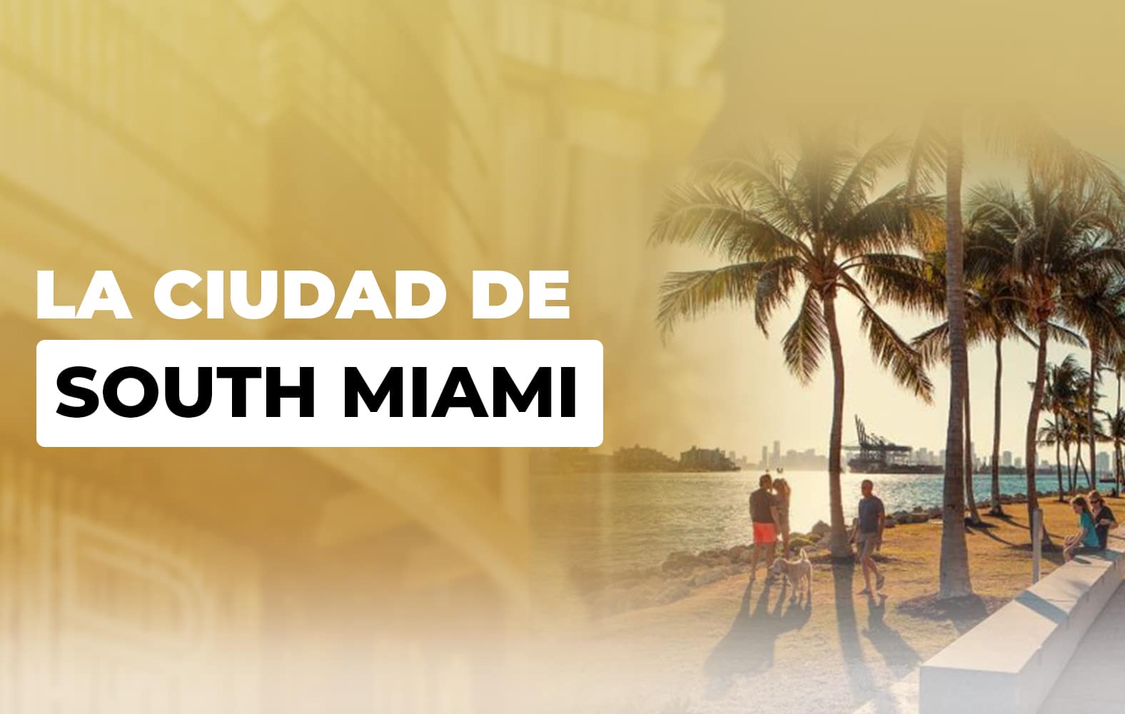 Conoce South Miami